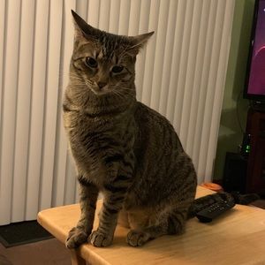 Meet your Posher, Jodi